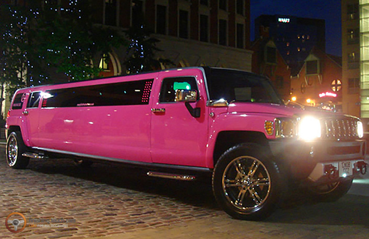 PinkHummer01 1